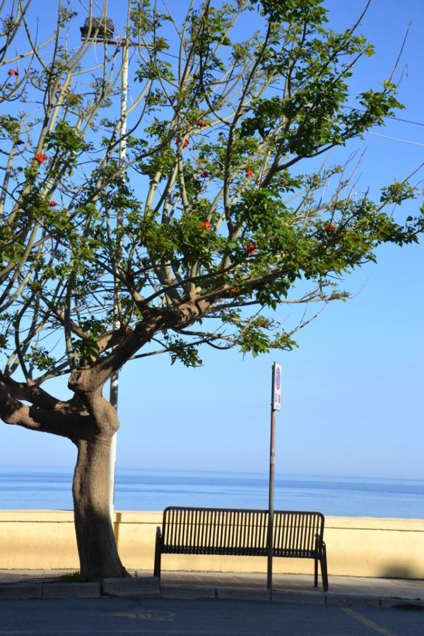 I Tesori Del Mare Bed & Breakfast Letojanni Dış mekan fotoğraf